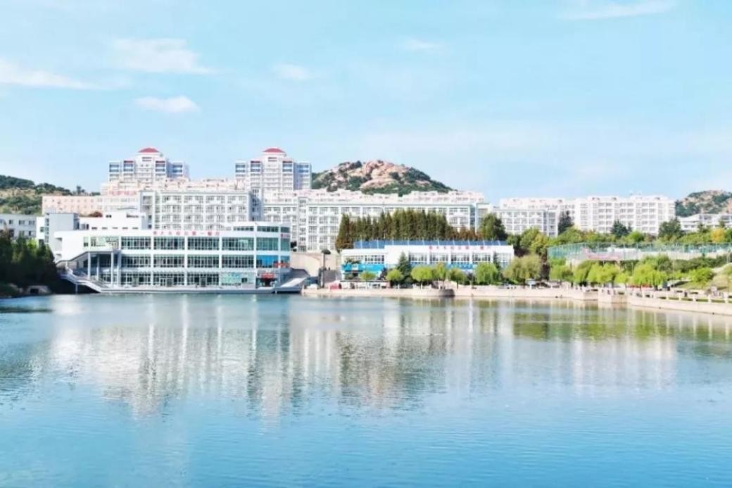 青岛大学的世界排名,青岛大学世界排名多少