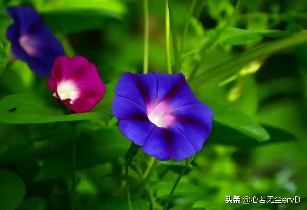 女儿啊，你没有权力鄙薄父母的卑微，你要做的是给他们体面的生活