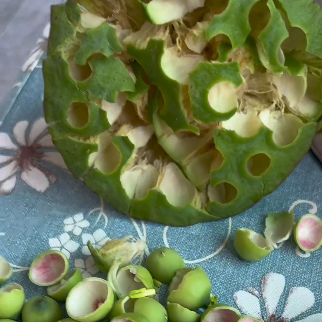 日常vlog学生党,日常vlog拍摄设备