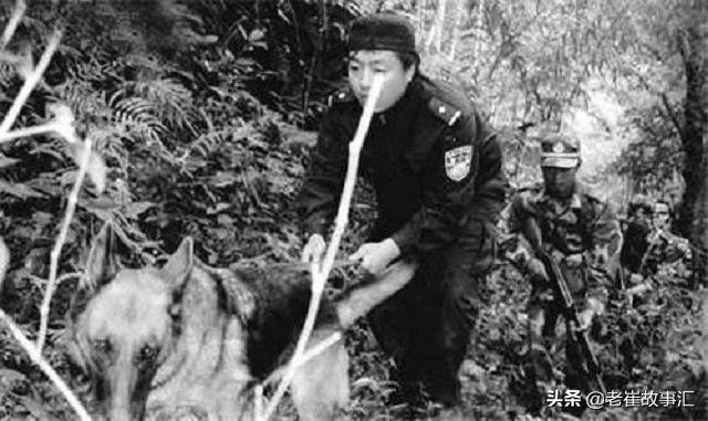 新中国的第一张“通缉令”！东北二王有多狠？3万警察追踪7个月