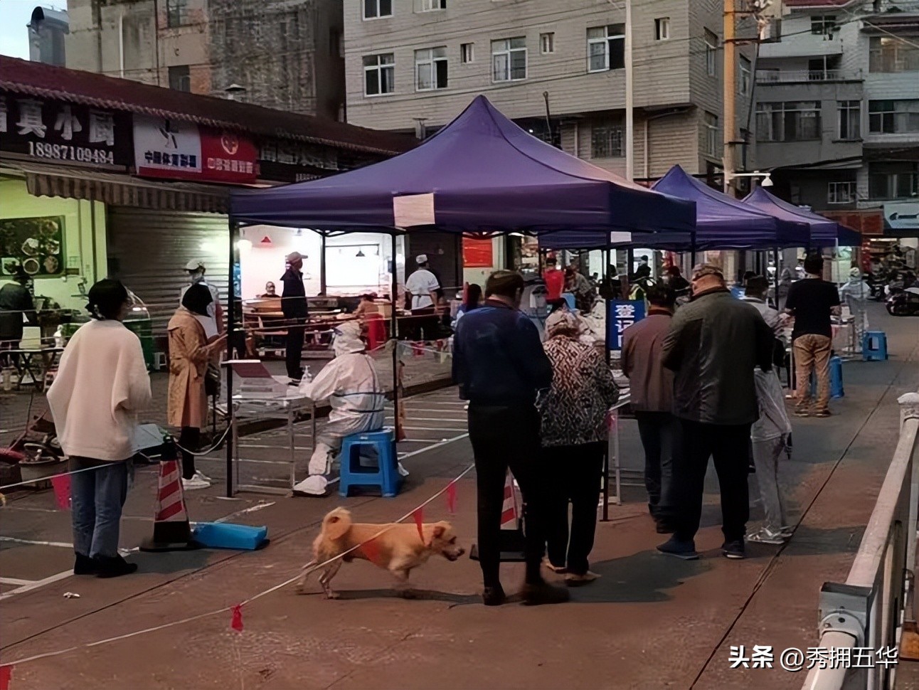 龙翔街道：以我微光耀我中华