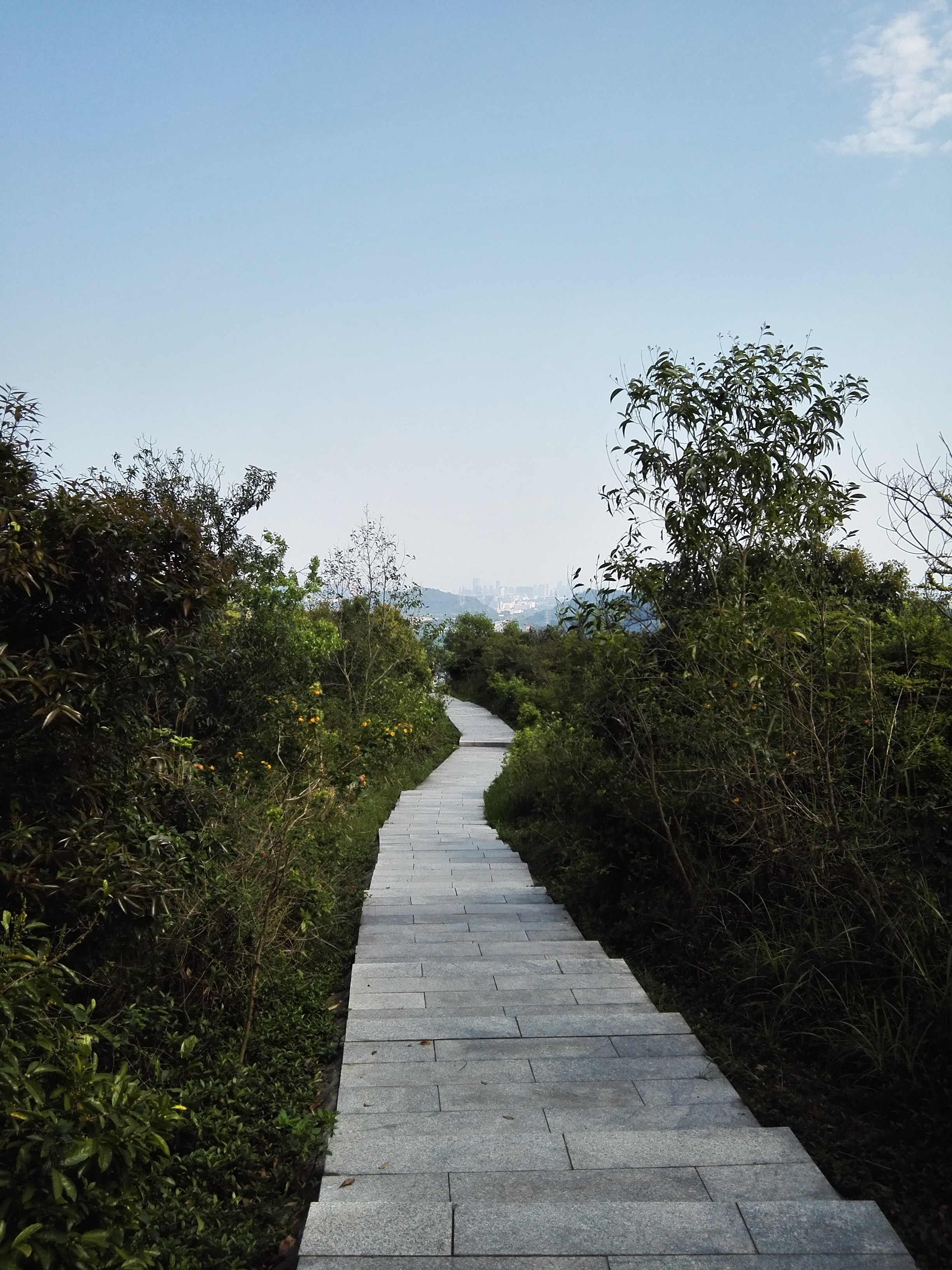 深圳平峦山公园,深圳宝安平瑾山公园图片大全