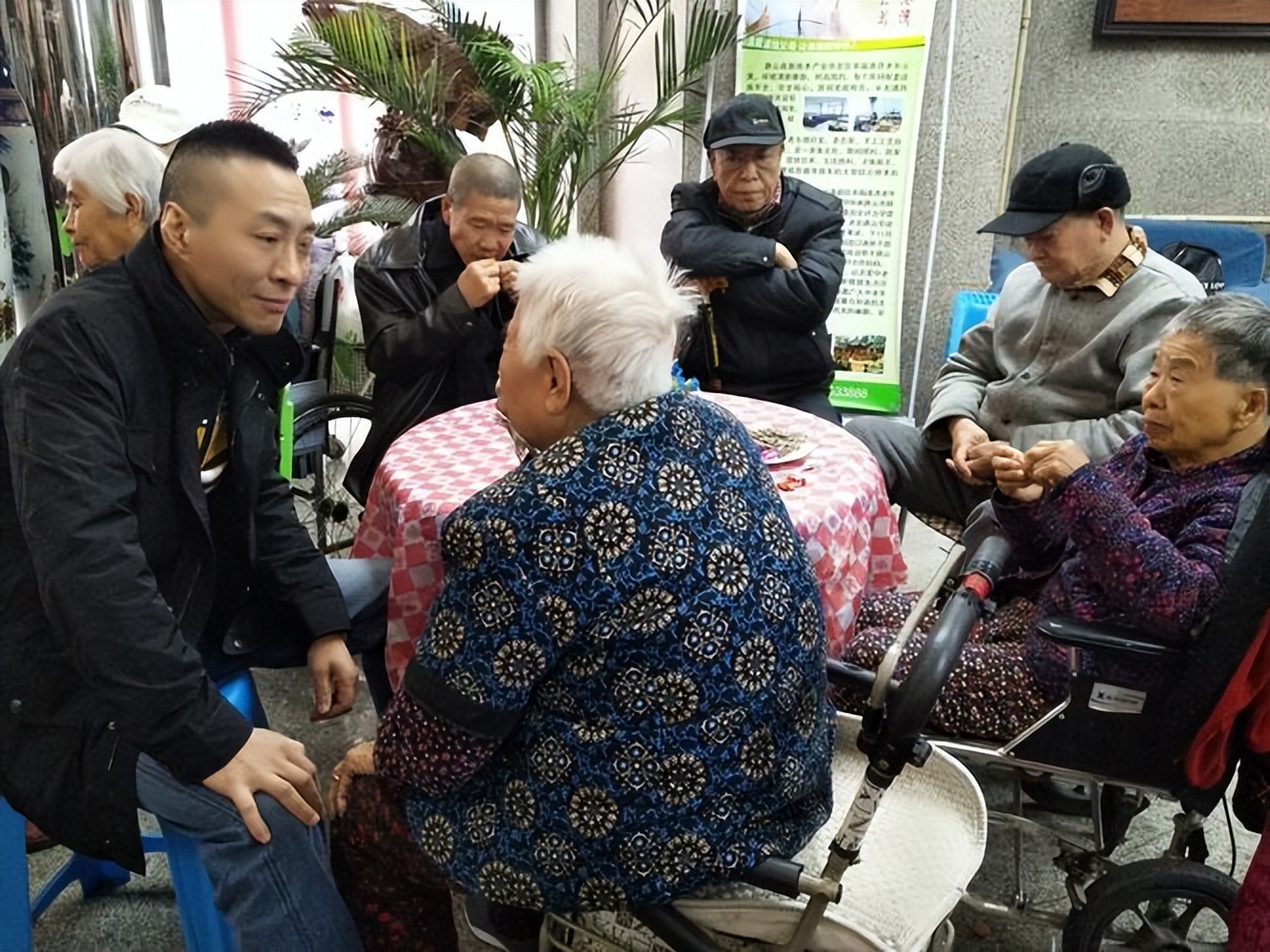 人兽真能杂交，日本批准“人兽杂交胚胎”实验，是福是祸？