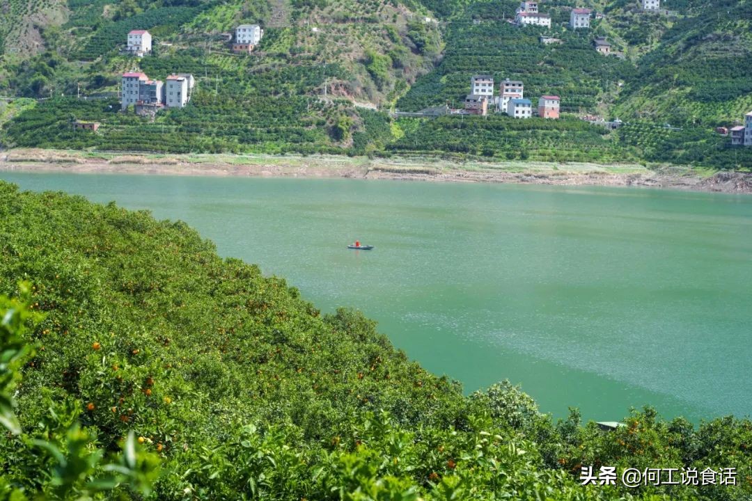 期待回秭归,回忆秭归