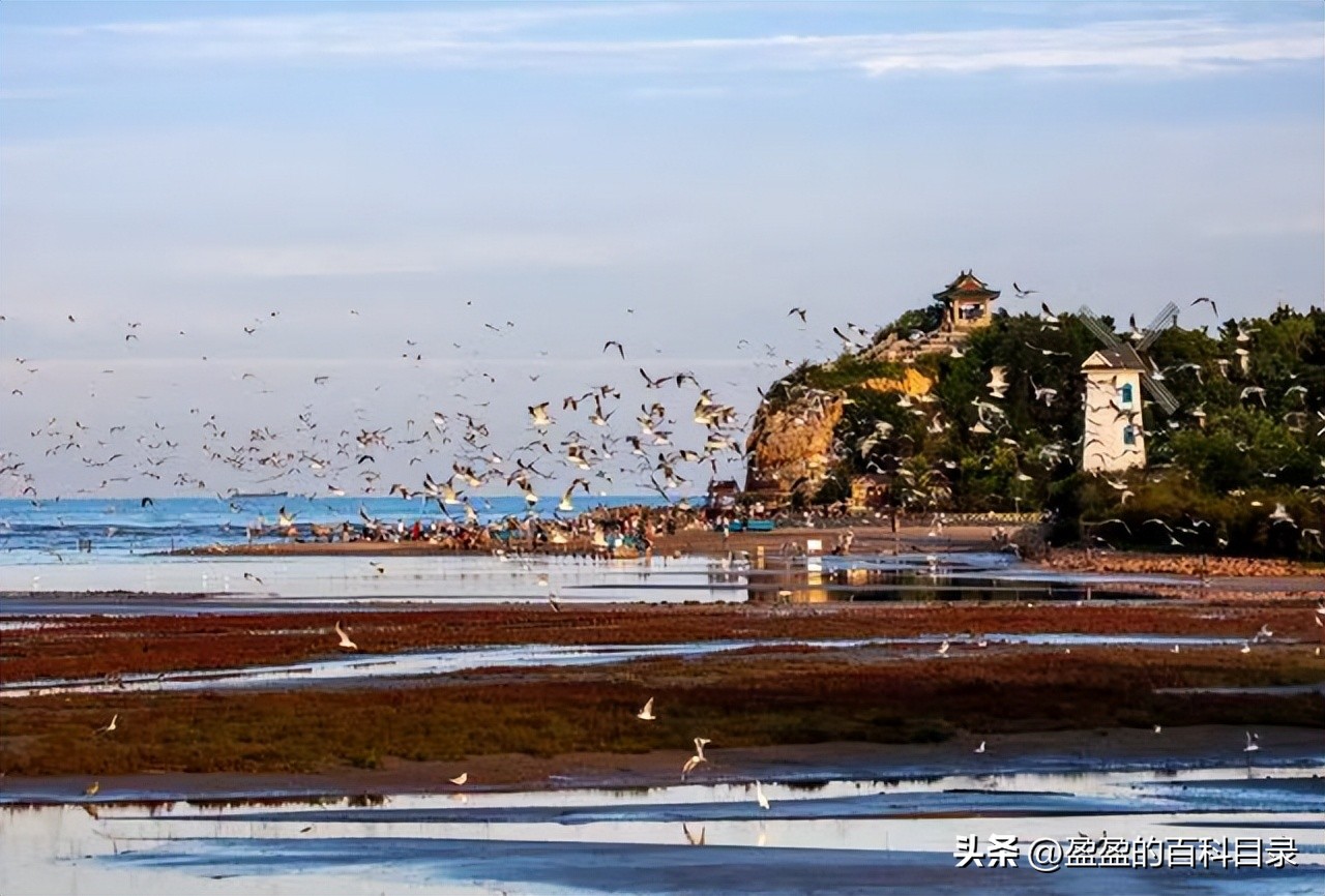 秦皇岛旅游攻略网红打卡,秦皇岛最新旅游攻略