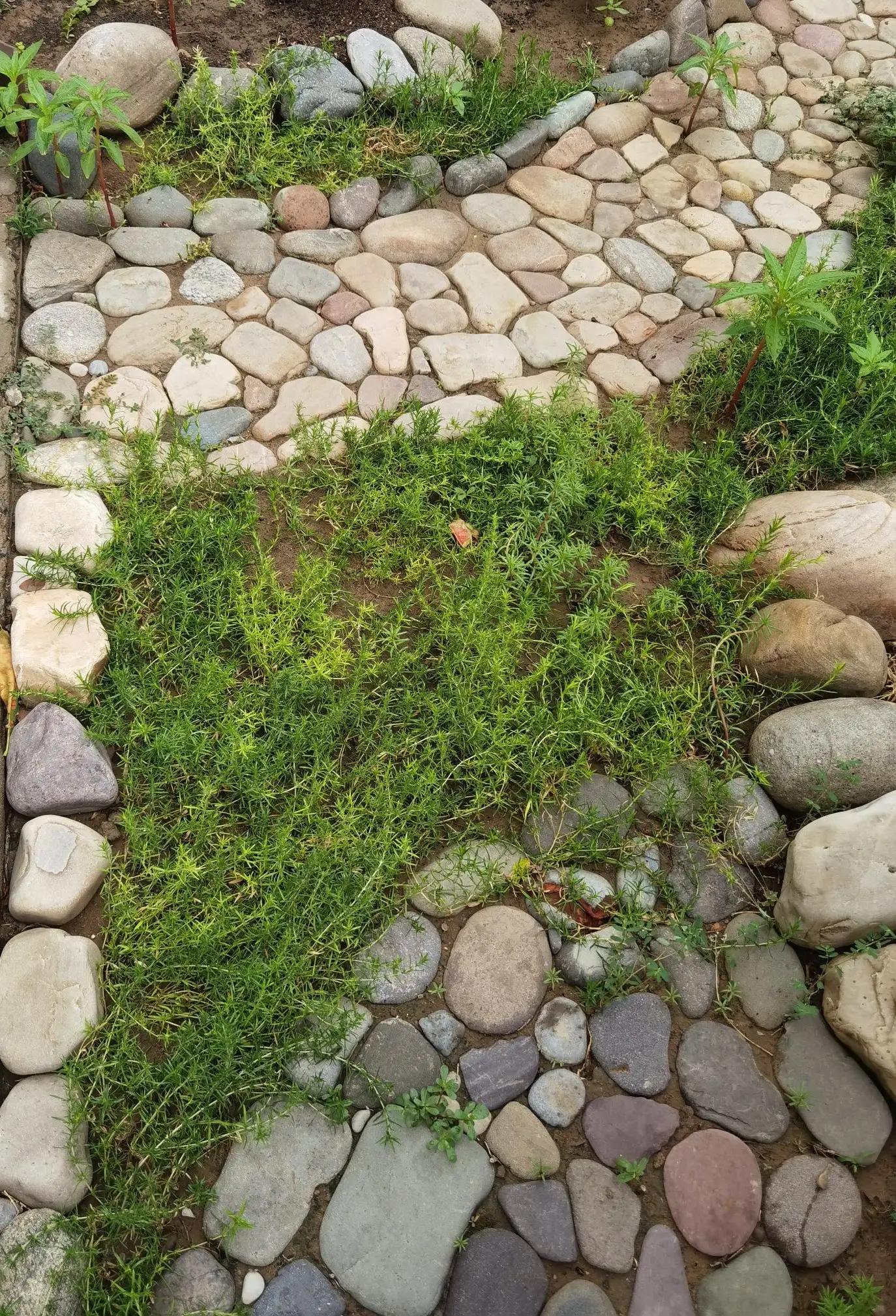 高温天气盼雨来,高温的炙烤