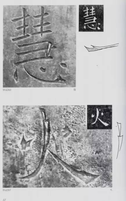 宸ョ瑪鐢绘潹鏅箟鐢诲唽,鏉滈箖鏉ㄦ櫘涔夊畬鏁寸増