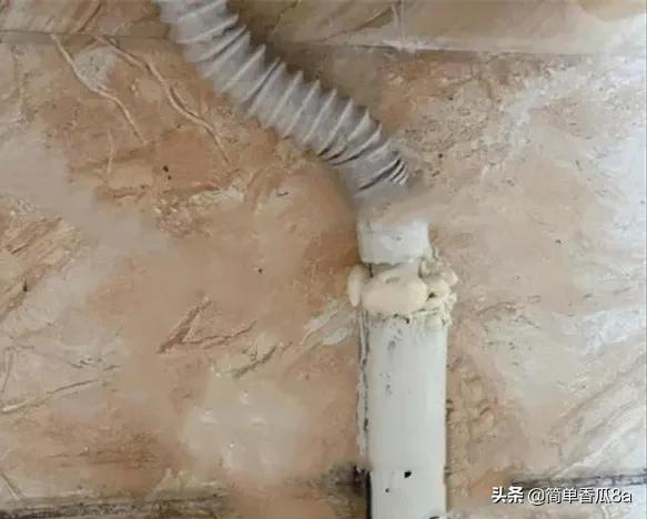 卫生间的小飞虫老是灭不掉怎么办,卫生间飞虫多怎么消灭