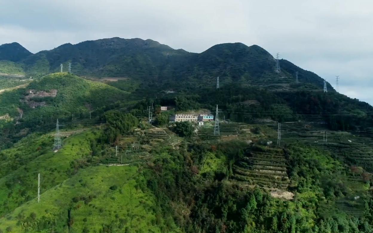 给鸡戴计步器跑满100万步,给鸡戴的计步器多少钱一个