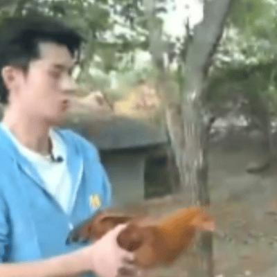 王鹤棣玩猜词游戏有多好笑,王鹤棣直播炸串有多好笑