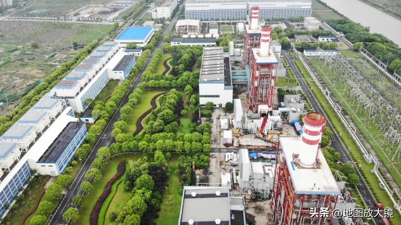 大上海强龙压过地头蛇,大上海强龙遇到地头蛇