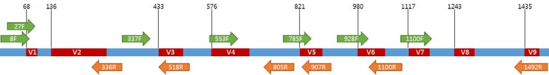 16srdna测序技术,什么叫16srna测序