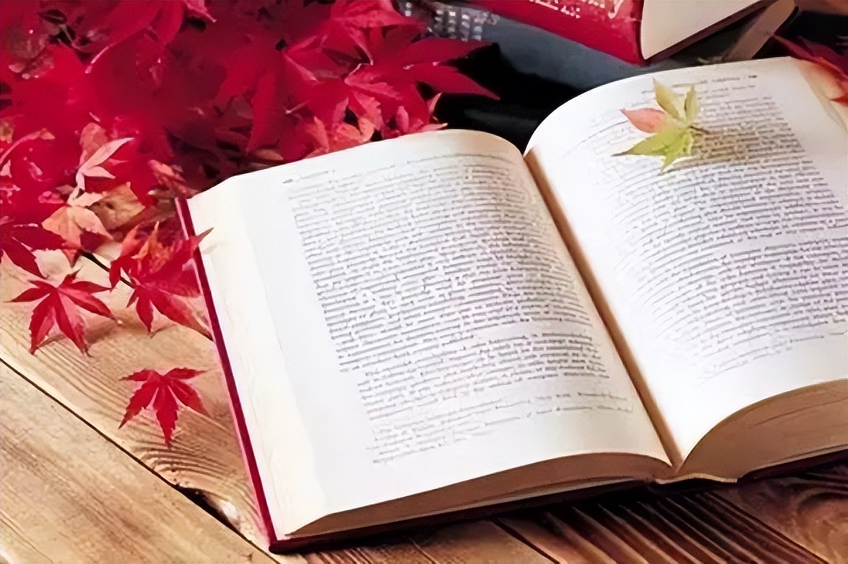 如何戒掉沉迷学习,如何戒掉书瘾最有效