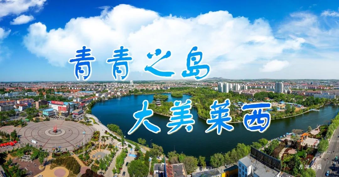 【莱检说法】第5期：躺着赚钱，还高回报？莱西这俩人成“帮凶”！