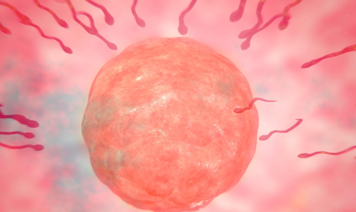 女性什么时候绝经比较好？绝经越迟，越容易长寿？很多人想错了