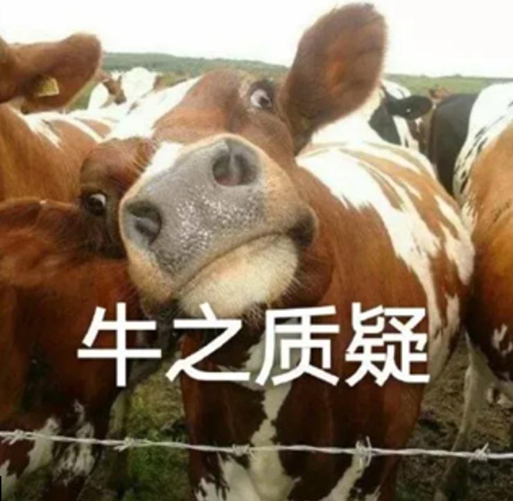 在野外遇到狮子怎么办视频,野外遇到狮子的方式