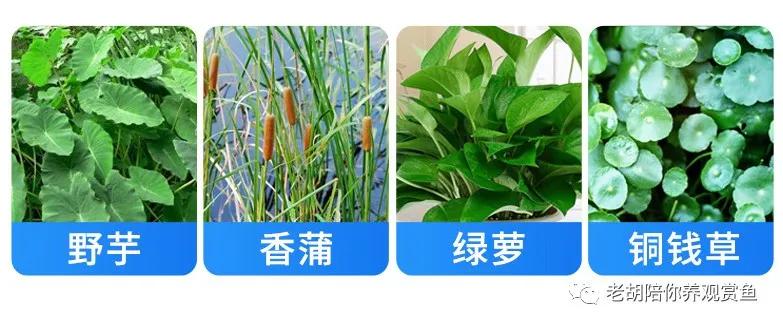 周转箱过滤好不好用,周转箱做过滤教程