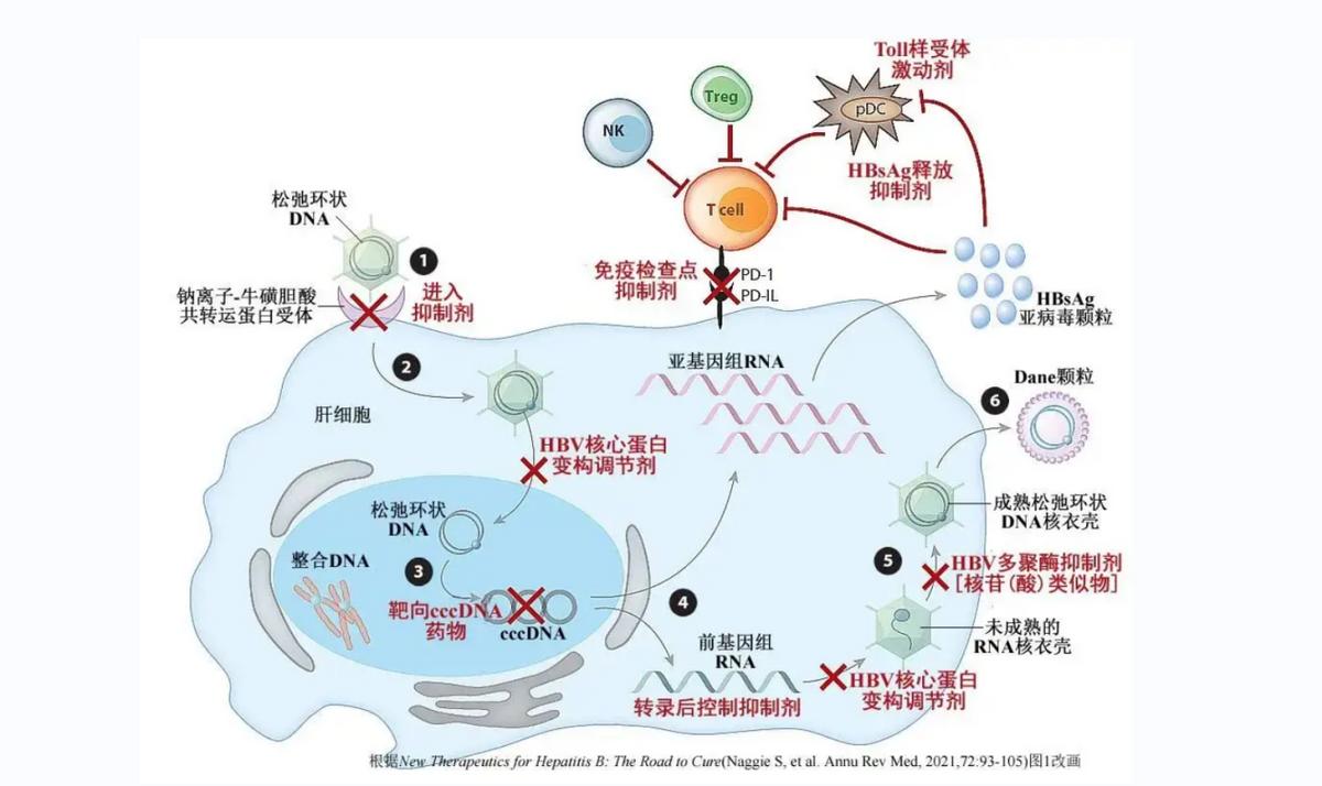 肺癌中药治疗好还是靶向治疗,靶向治疗同时可以吃中药吗