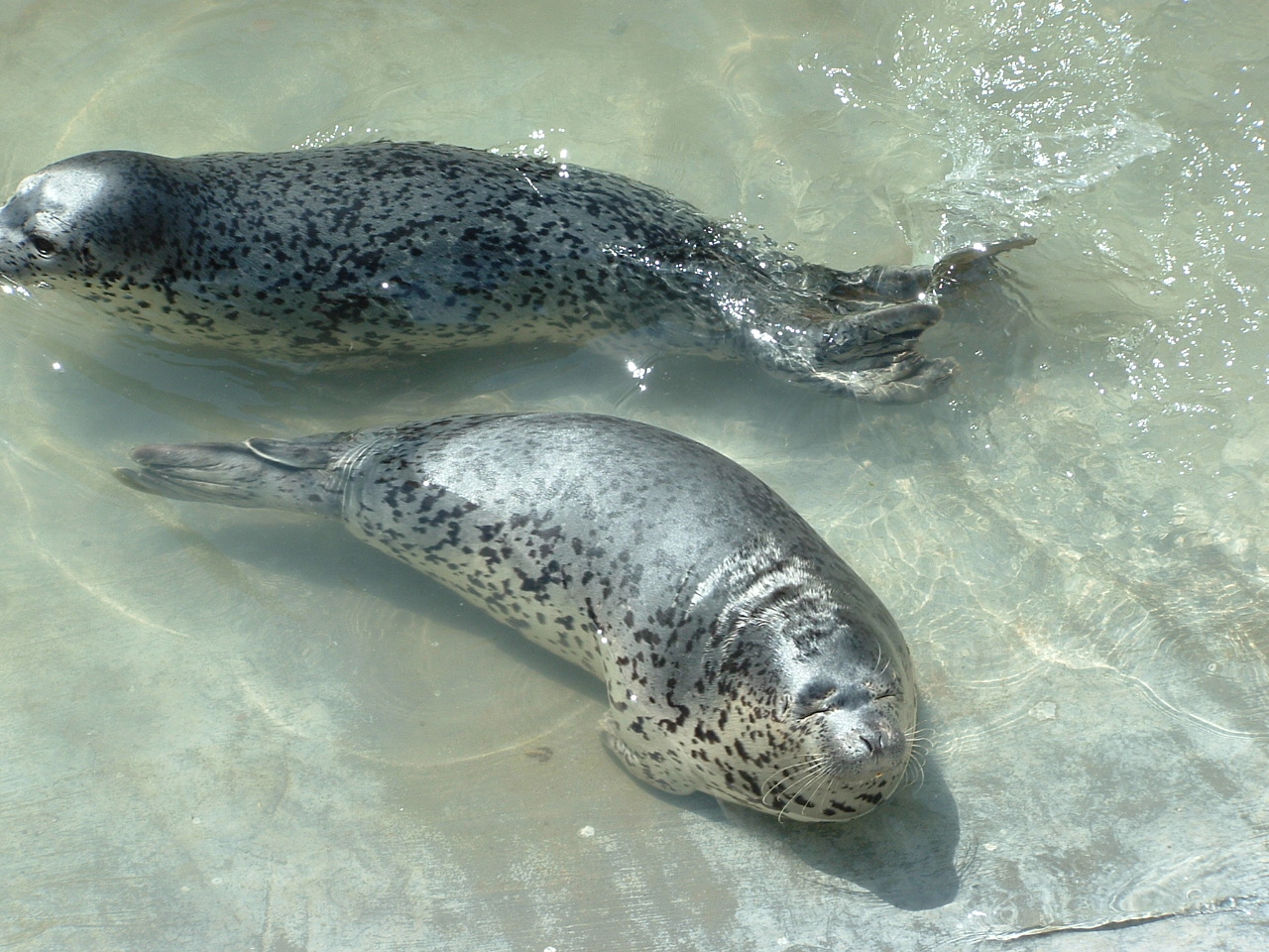 涓滄捣鍏洯澶ц繛,澶ц繛涓滄捣鍏洯