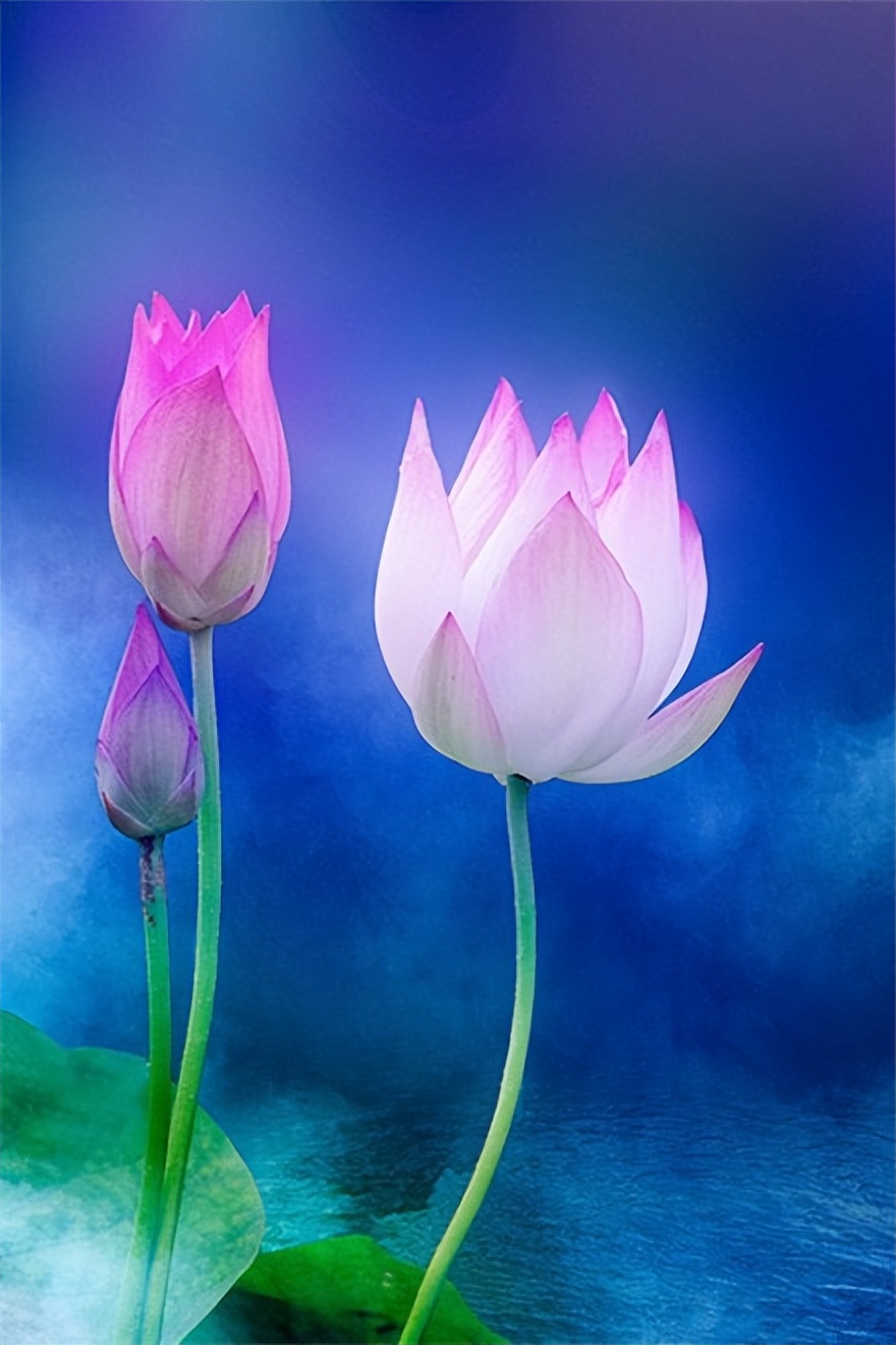 哲理情感文案伤感扎心短句,经典哲理句子句句穿心短句