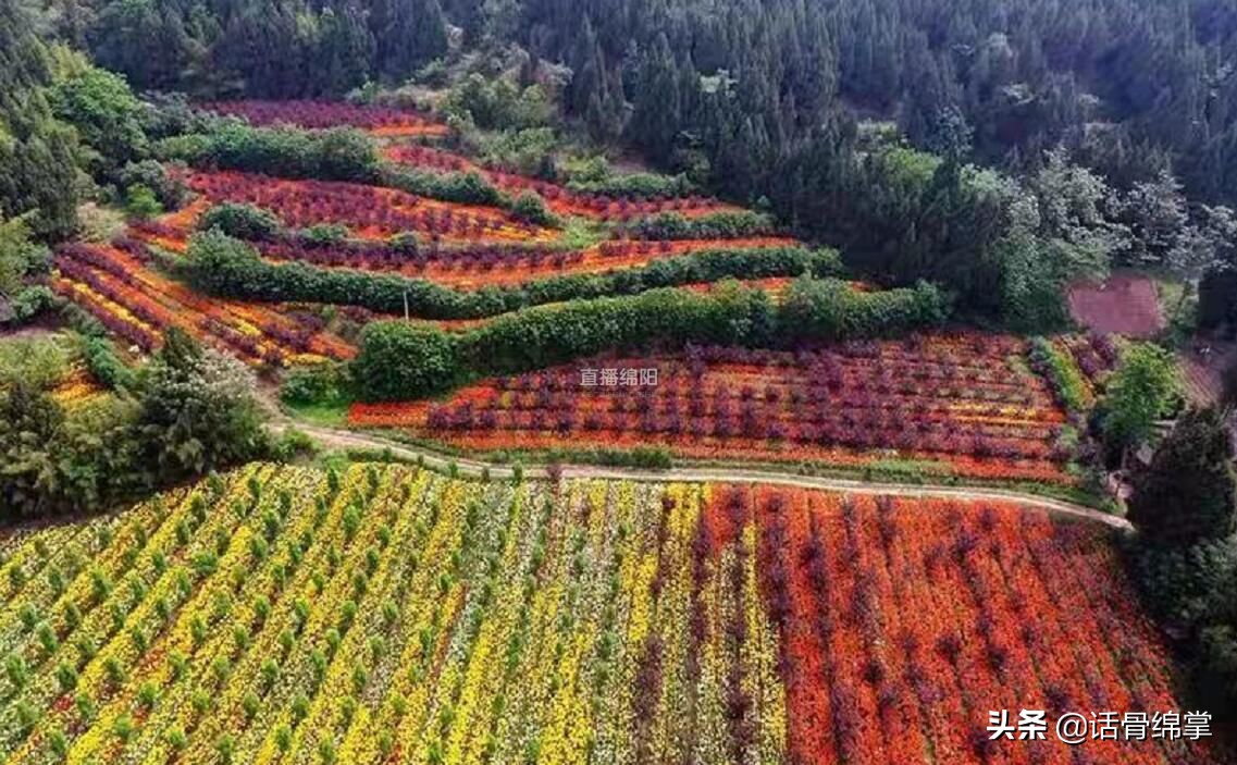 盐亭县乡村振兴成效,盐亭打造美丽乡村