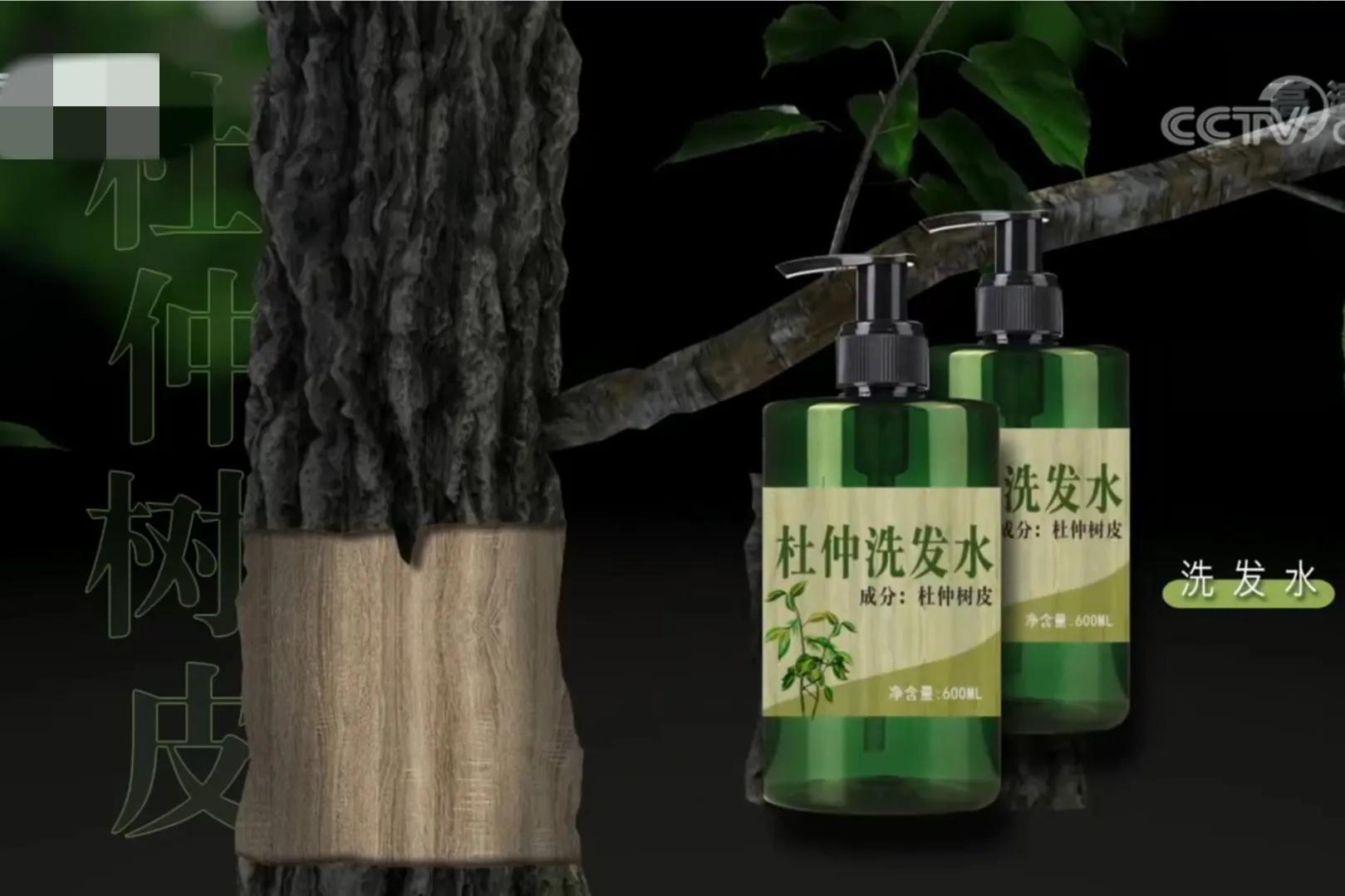 湖南男子钻进深山，将杜仲树叶变成宝，一年卖出上百万元