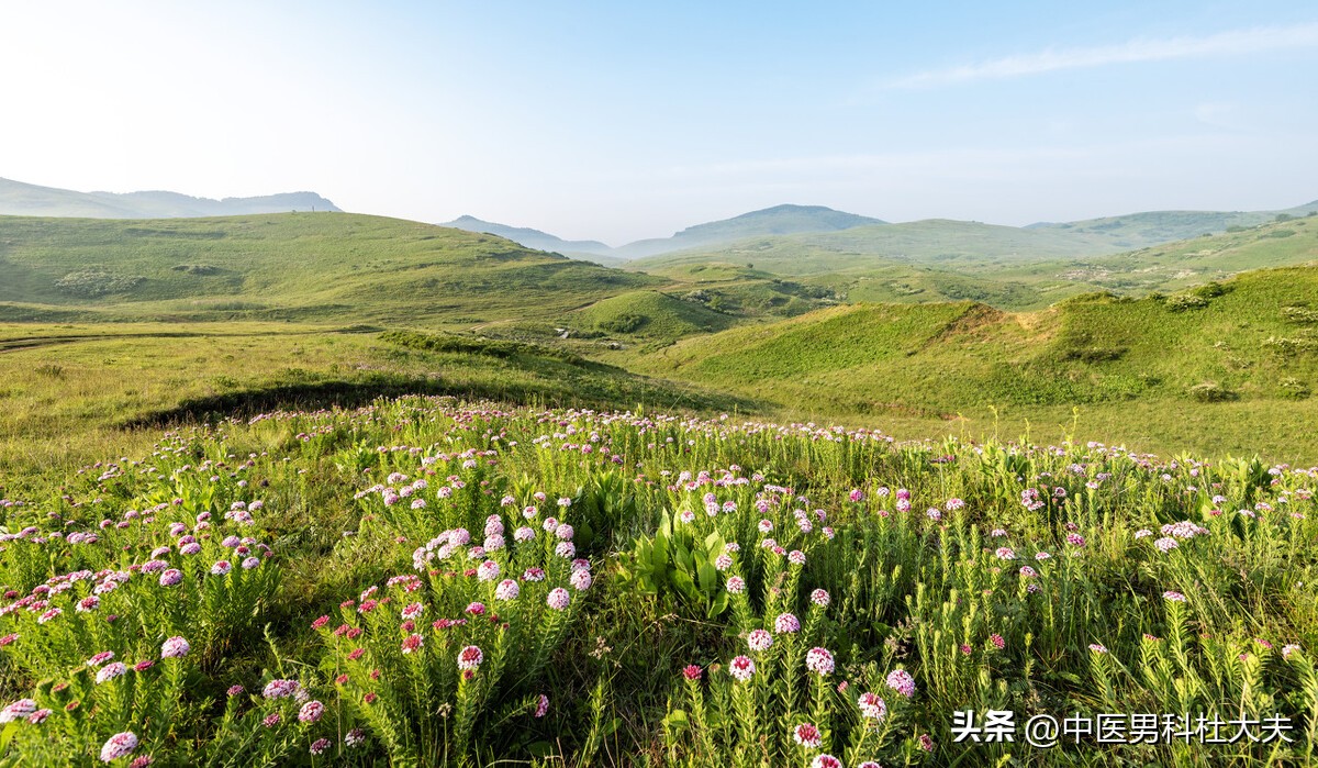 睾丸潮湿瘙痒中医解决办法,睾丸潮湿瘙痒的中医辨证