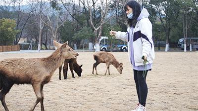 预订景区门票优惠活动,限时福利门票加一元畅游一整年