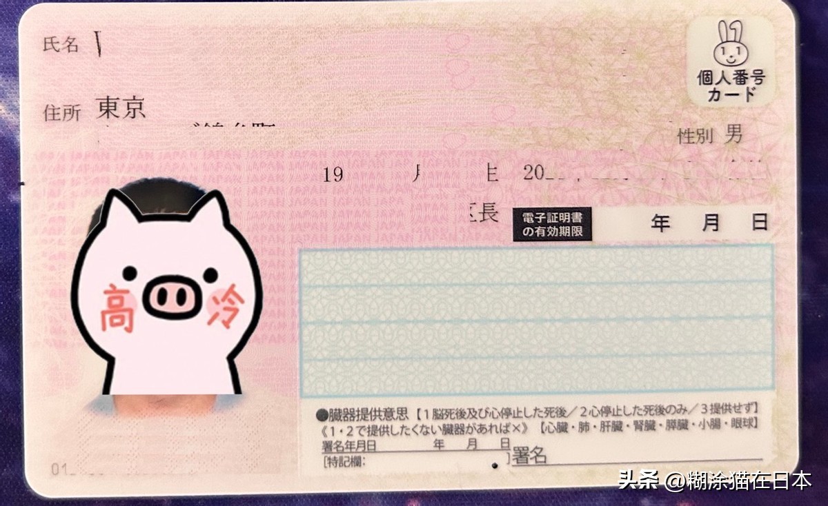 异国他乡我们迎难而上办齐日本证明手续（东京第130-140天）