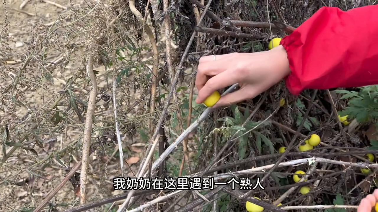 一个礼拜反反复复感冒终于好了,感冒反反复复一个月了让人好心烦