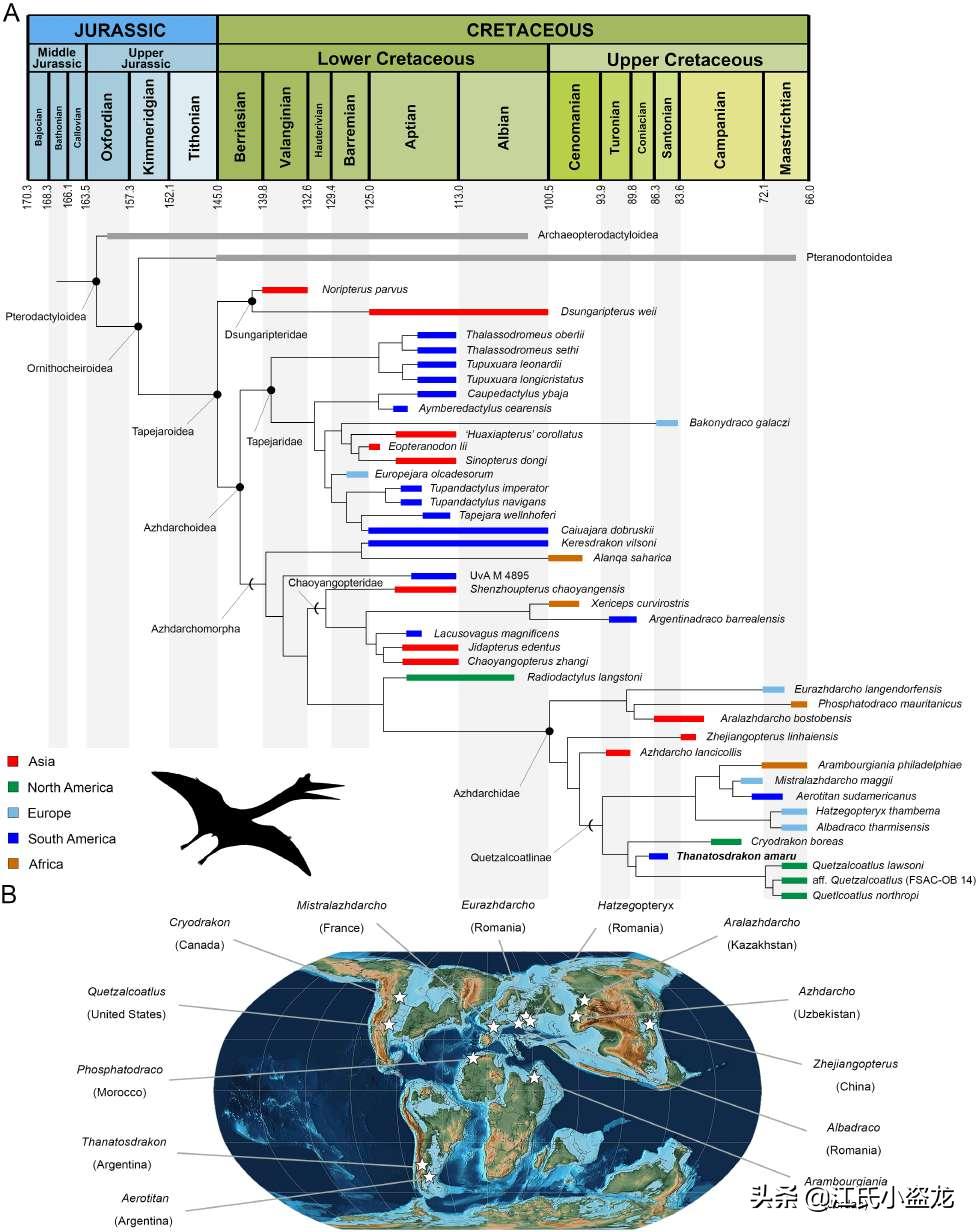 死神翼龙图片,死神翼龙真的存在吗