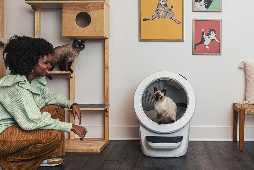 宠物人性化设计,宠物产品的情感化设计