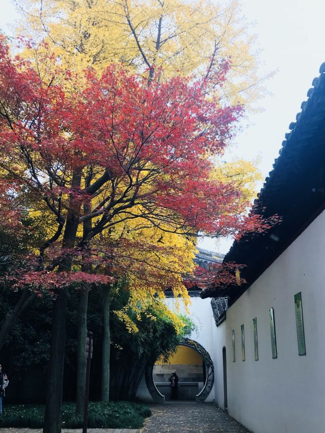 苏州秋季旅游最值得去的地方,苏州赏秋一日游攻略
