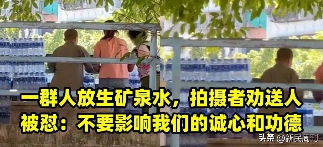 芒果核为啥要梳毛,给芒果核梳毛染发