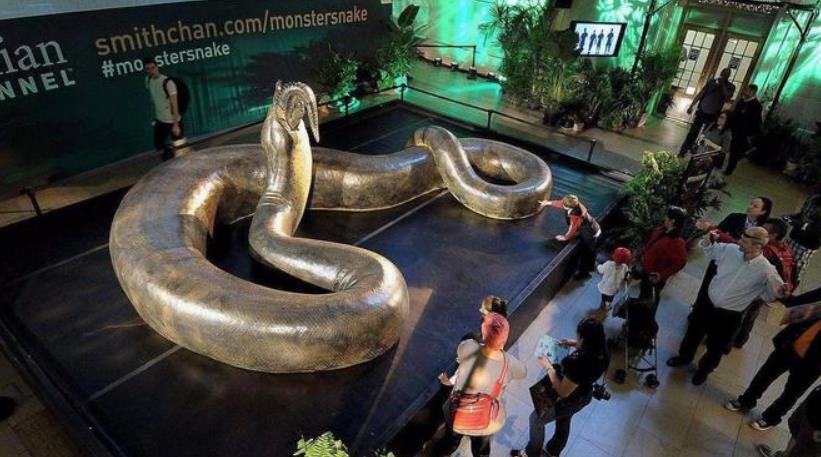 泰坦巨蟒vs霸王龙史前巨兽,泰坦巨蟒vs史前巨型眼镜蛇