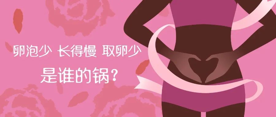 卵泡少需要攒卵用什么方案,卵泡少了排卵就少吗