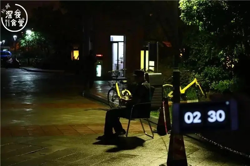 雪纳瑞和猫相处,雪纳瑞能和狸花猫一起养吗