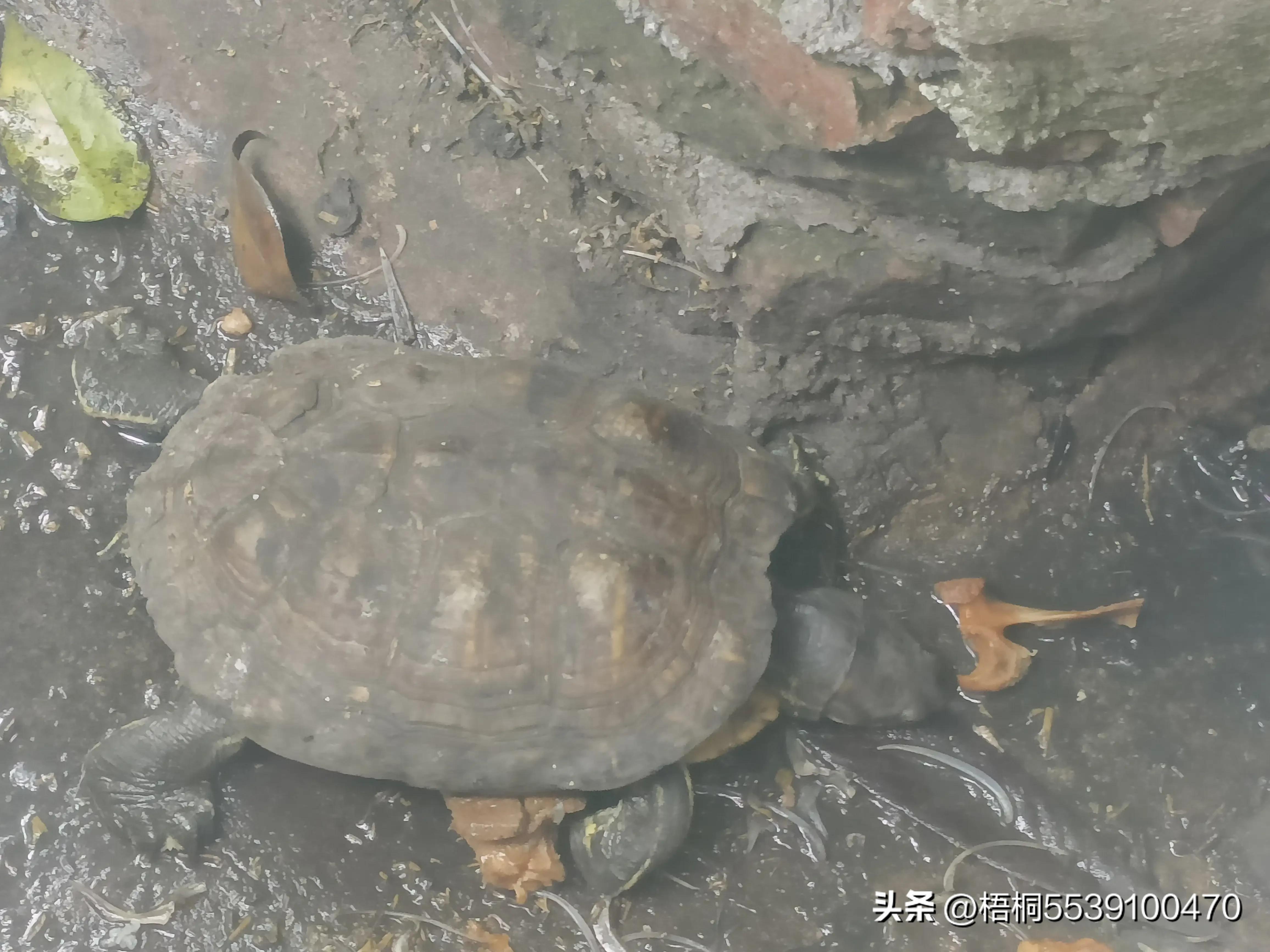 苏州洞庭西山有什么好玩的,苏州太湖东山还是西山好玩