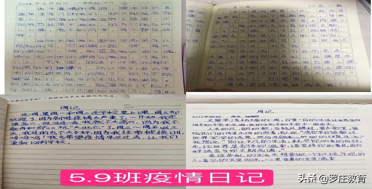 一起向未来小学版完整教学视频,临沂湖南崖小学教学质量