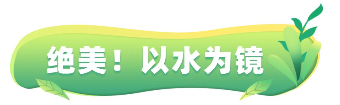行走河南·读懂中国丨云台山倒影中的秀水之美