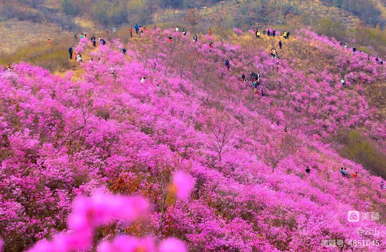 画意风光,画意风光摄影