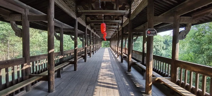 中国旅游短视频开拓者王国平，开创旅游线路短视频订购模式和美学风格及拍摄技巧