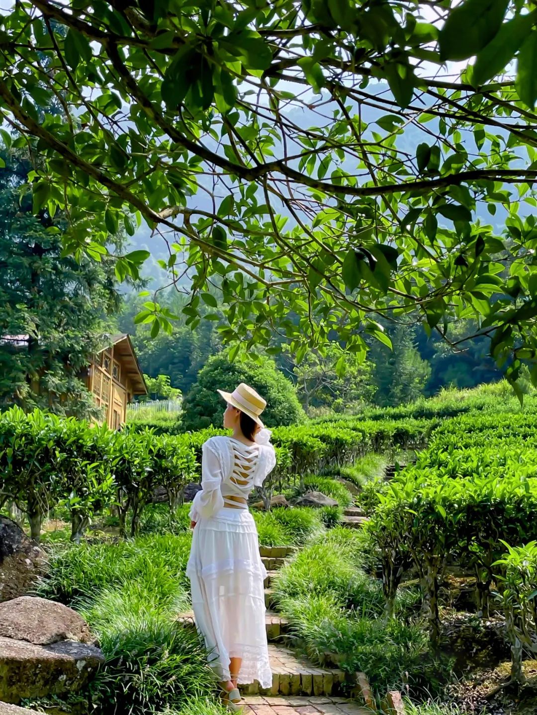 盘点影视的名场面瞬间,都市名场面
