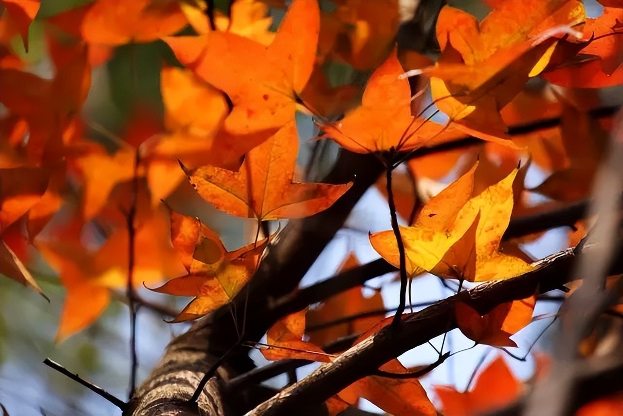广州台山市二日游,台山川山群岛一日游
