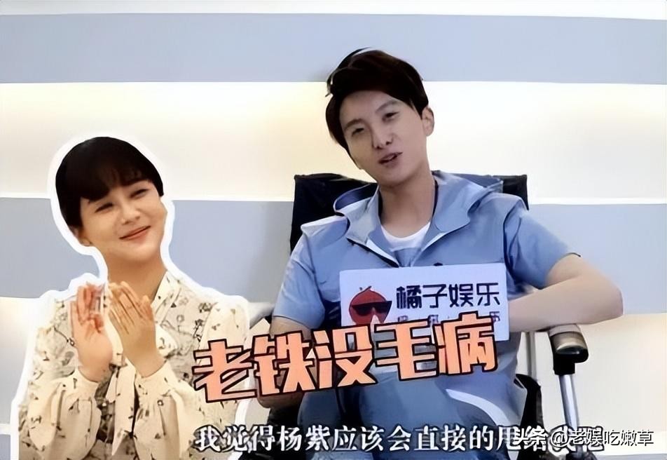 “低调富婆”杨紫的逆袭之路,杨紫从女明星一跃成资本大佬