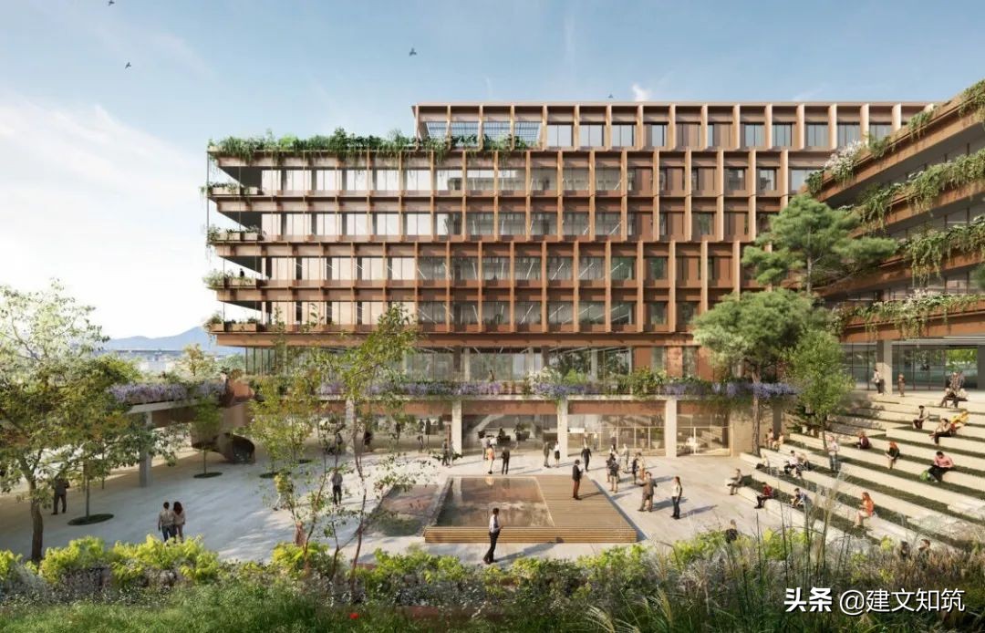 waf2023世锦赛,waf国内排名