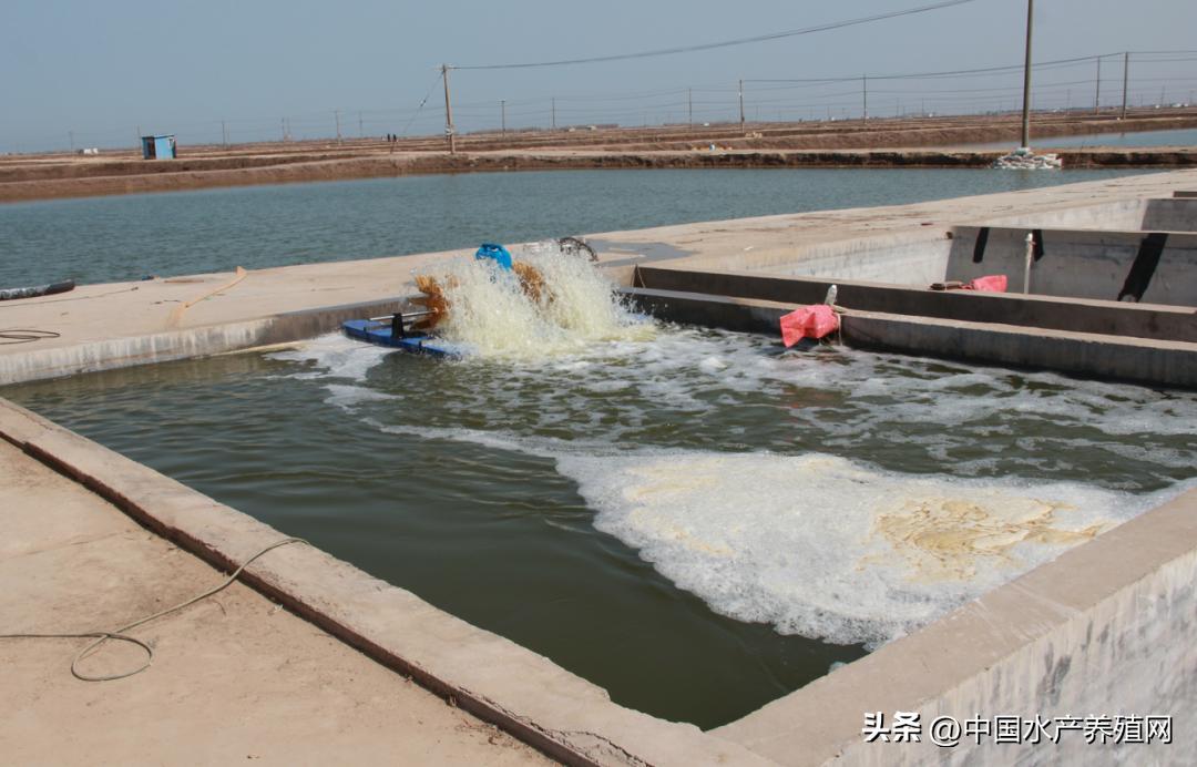 坚持做好产品质量的决心,坚持做良心产品