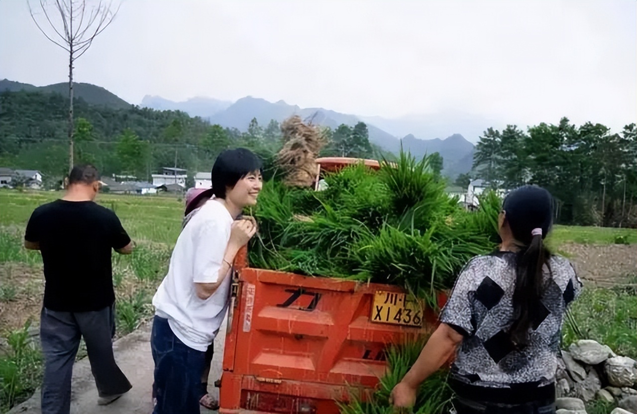 90后大学生回乡带村民致富,汶川80后女孩放弃工作回乡创业