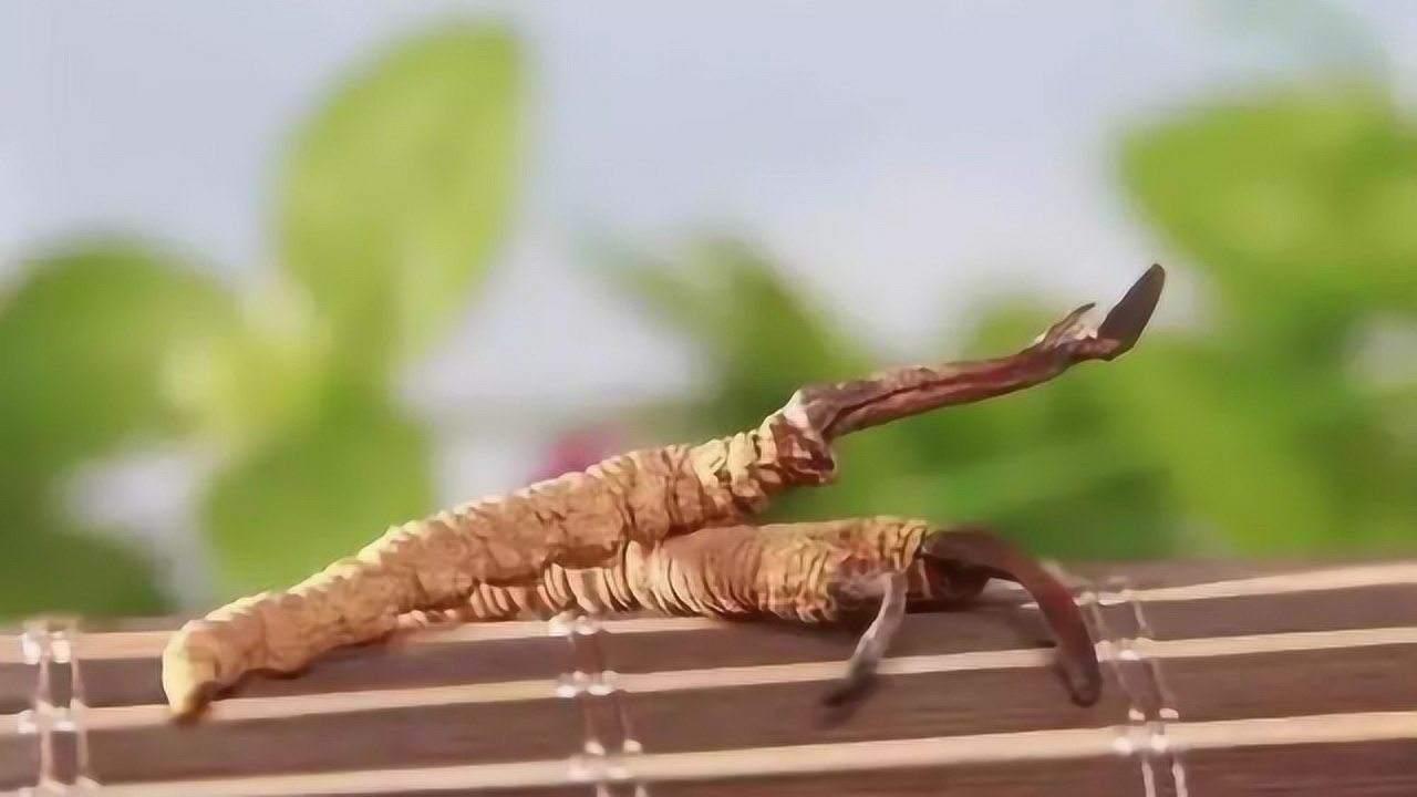 被公认的十大健康食品品牌,7种被误解的健康食品