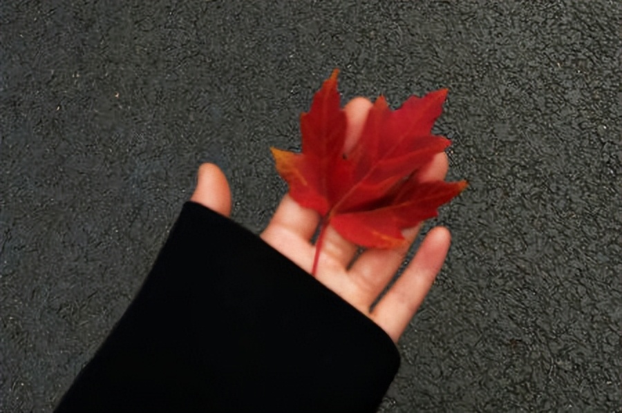 简短有深意的官宣文案,感情故事文案简短有深意